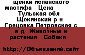 щенки испанского мастифа › Цена ­ 20 000 - Тульская обл., Щекинский р-н, Грецовка Петровская с/а д. Животные и растения » Собаки   